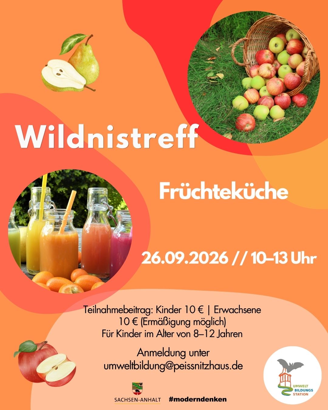 Wildnistreff 26