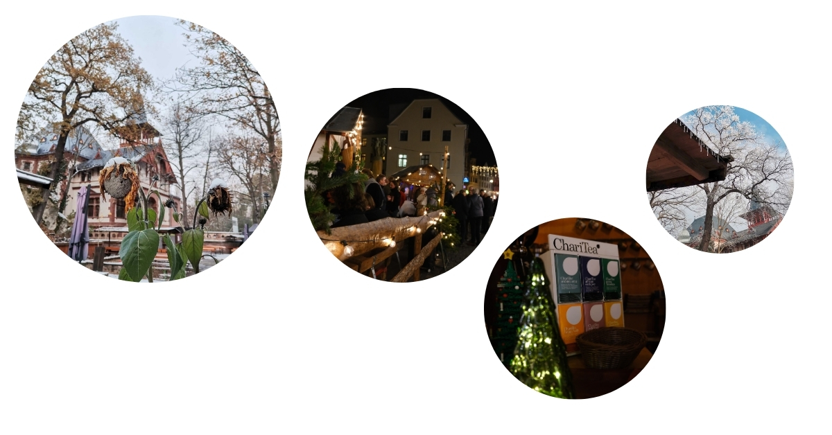 Kreise Winter